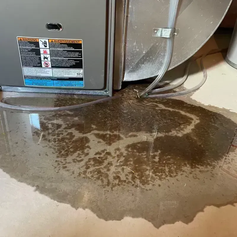 Appliance Leak Cleanup in Islandia, NY